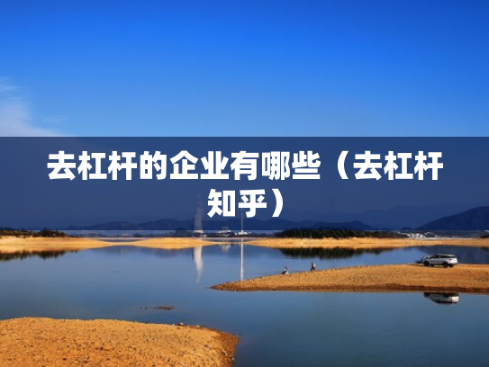 去杠杆的企业有哪些（去杠杆知乎）