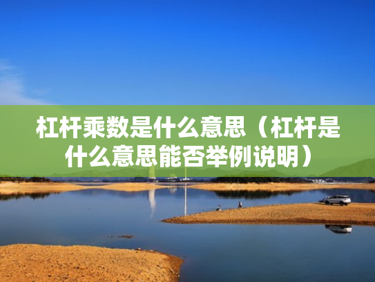 杠杆乘数是什么意思（杠杆是什么意思能否举例说明）