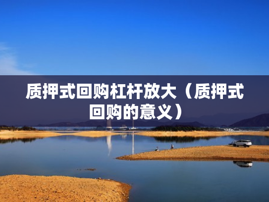 质押式回购杠杆放大（质押式回购的意义）