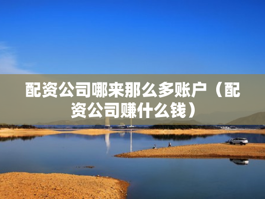 配资公司哪来那么多账户（配资公司赚什么钱）