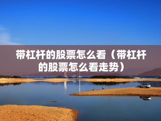 带杠杆的股票怎么看（带杠杆的股票怎么看走势）