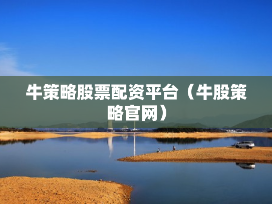 牛策略股票配资平台（牛股策略官网）
