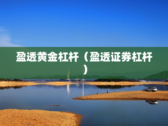 盈透黄金杠杆（盈透证券杠杆）