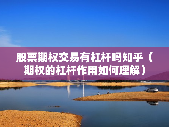 股票期权交易有杠杆吗知乎（期权的杠杆作用如何理解）