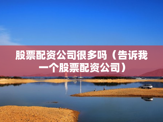 股票配资公司很多吗（告诉我一个股票配资公司）