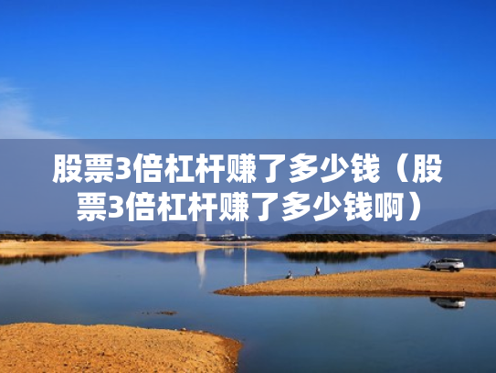 股票3倍杠杆赚了多少钱（股票3倍杠杆赚了多少钱啊）