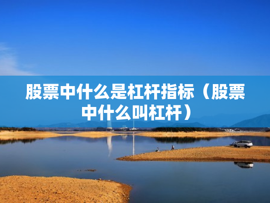 股票中什么是杠杆指标（股票中什么叫杠杆）