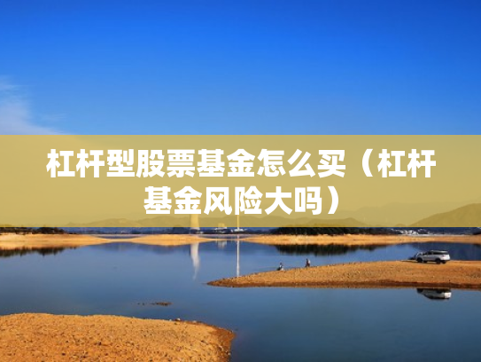 杠杆型股票基金怎么买（杠杆基金风险大吗）