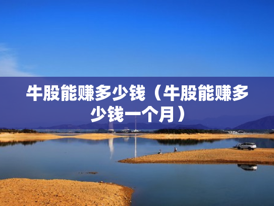 牛股能赚多少钱（牛股能赚多少钱一个月）
