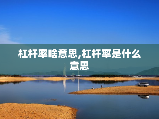 杠杆率啥意思,杠杆率是什么意思
