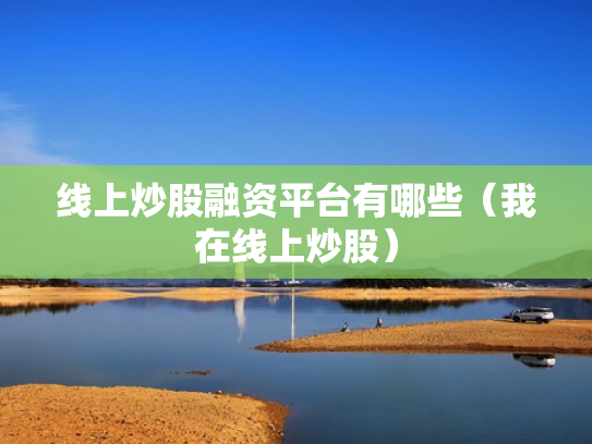 线上炒股融资平台有哪些（我在线上炒股）