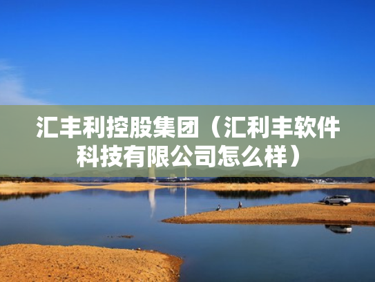 汇丰利控股集团（汇利丰软件科技有限公司怎么样）