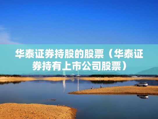 华泰证券持股的股票（华泰证券持有上市公司股票）