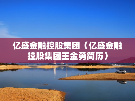 亿盛金融控股集团（亿盛金融控股集团王金勇简历）