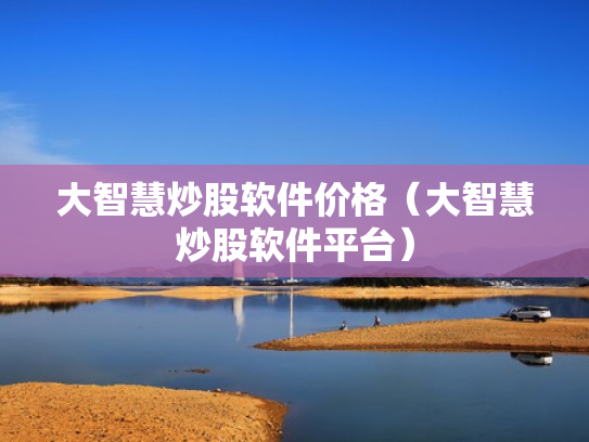 大智慧炒股软件价格（大智慧炒股软件平台）
