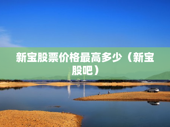 新宝股票价格最高多少（新宝股吧）