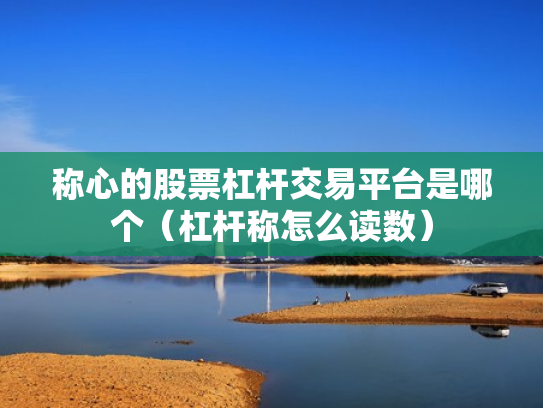 称心的股票杠杆交易平台是哪个（杠杆称怎么读数）