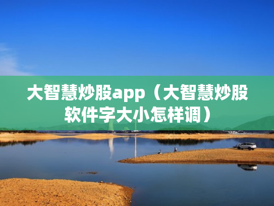 大智慧炒股app（大智慧炒股软件字大小怎样调）