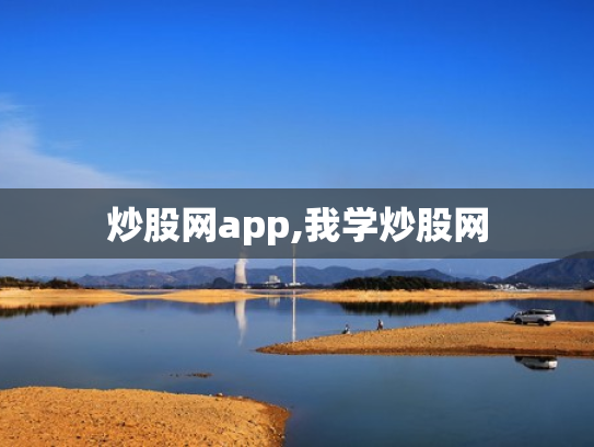 炒股网app,我学炒股网