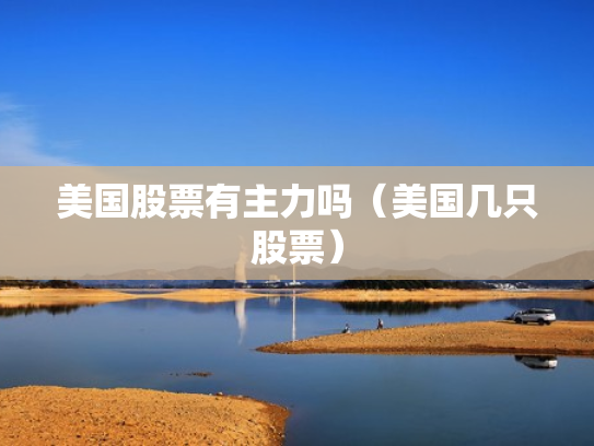 美国股票有主力吗（美国几只股票）