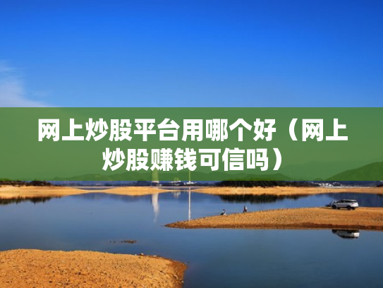 网上炒股平台用哪个好（网上炒股赚钱可信吗）