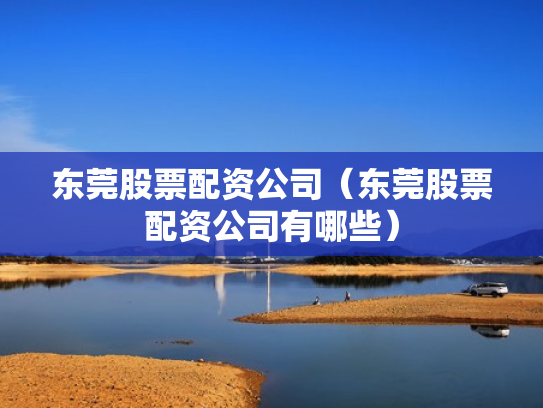东莞股票配资公司（东莞股票配资公司有哪些）