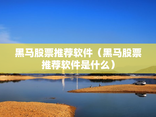 黑马股票推荐软件（黑马股票推荐软件是什么）