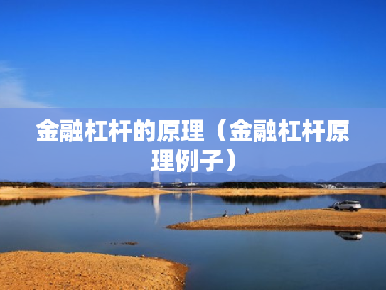金融杠杆的原理（金融杠杆原理例子）