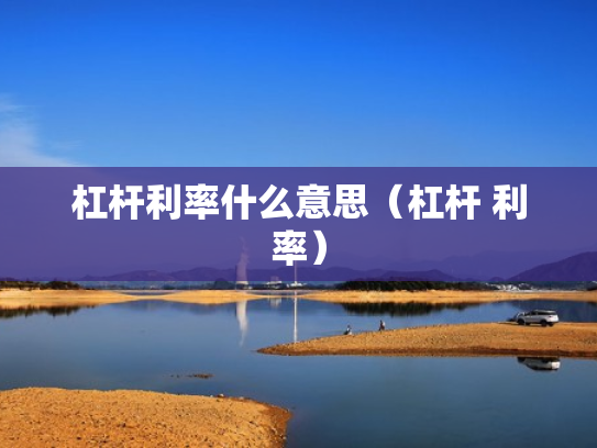 杠杆利率什么意思（杠杆 利率）