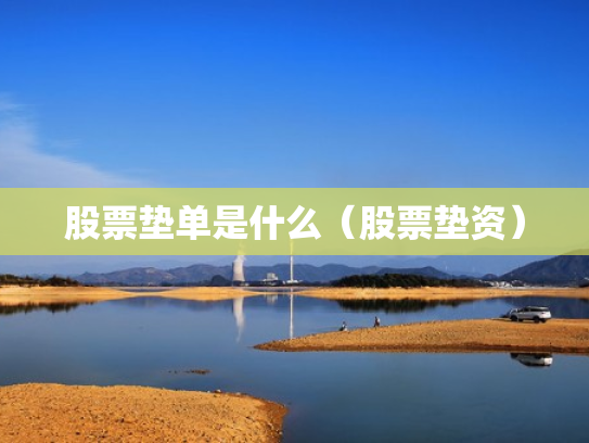 股票垫单是什么（股票垫资）