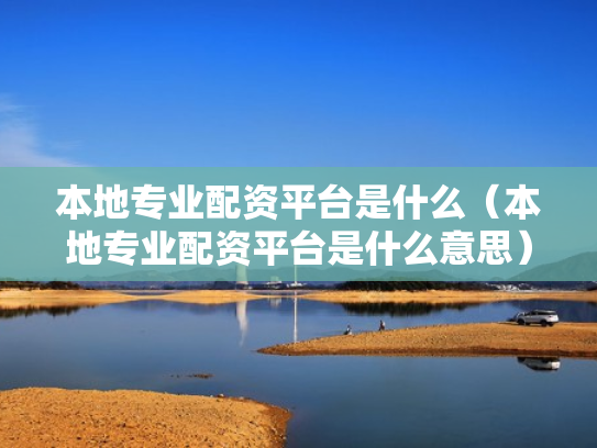 本地专业配资平台是什么（本地专业配资平台是什么意思）