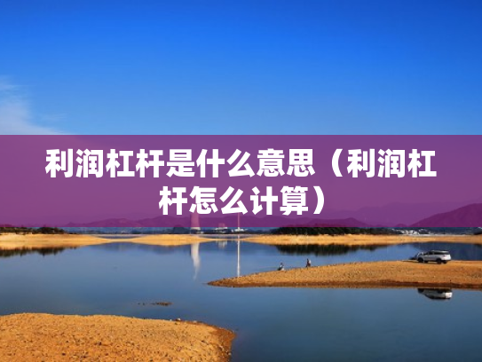 利润杠杆是什么意思（利润杠杆怎么计算）