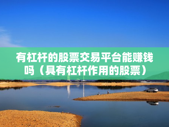 有杠杆的股票交易平台能赚钱吗（具有杠杆作用的股票）