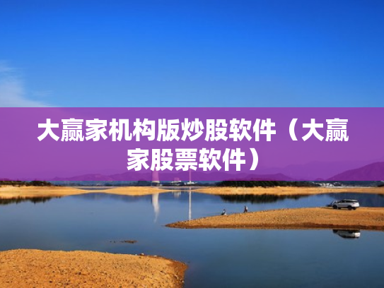 大赢家机构版炒股软件（大赢家股票软件）