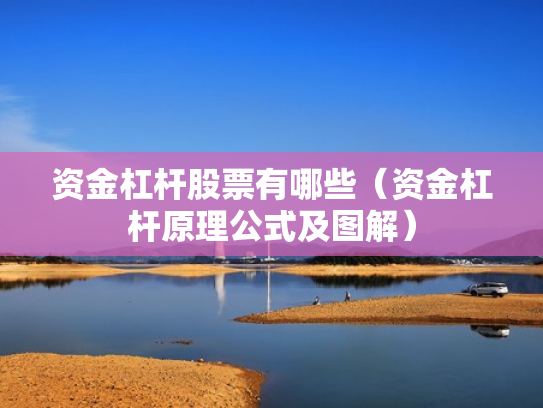 资金杠杆股票有哪些（资金杠杆原理公式及图解）