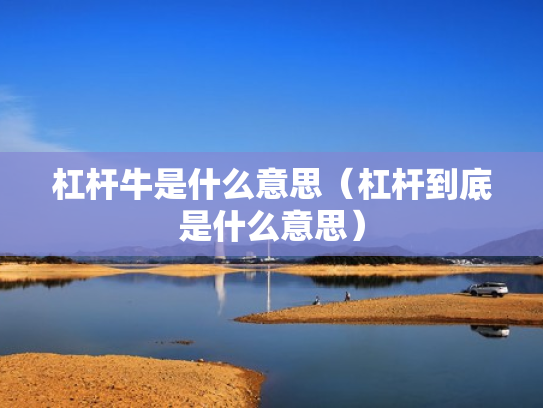 杠杆牛是什么意思（杠杆到底是什么意思）