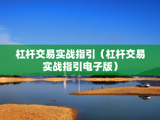 杠杆交易实战指引（杠杆交易实战指引电子版）