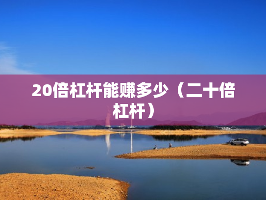 20倍杠杆能赚多少（二十倍杠杆）