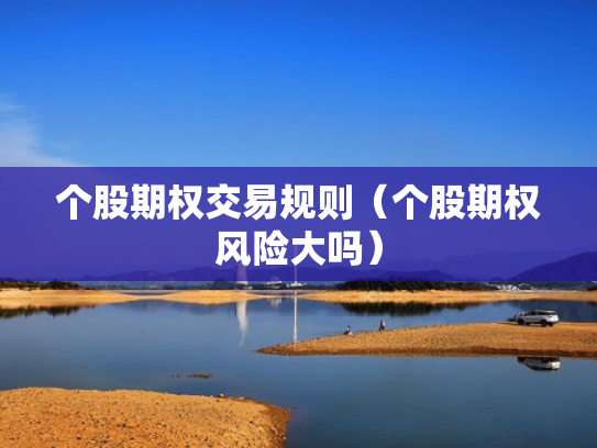 个股期权交易规则（个股期权风险大吗）