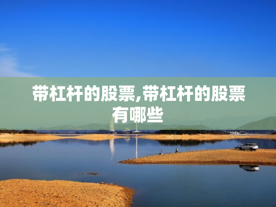 带杠杆的股票,带杠杆的股票有哪些