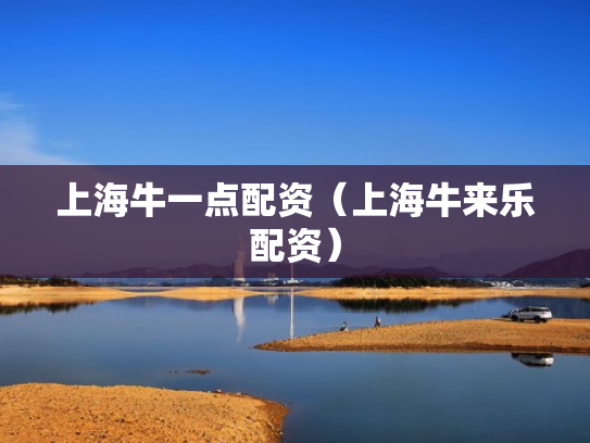 上海牛一点配资（上海牛来乐配资）
