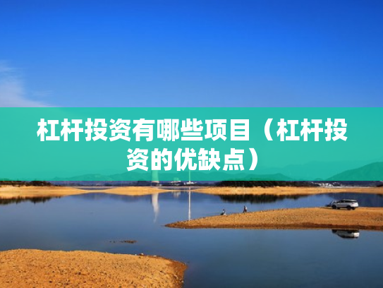 杠杆投资有哪些项目（杠杆投资的优缺点）