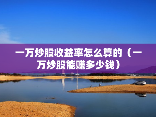 一万炒股收益率怎么算的（一万炒股能赚多少钱）