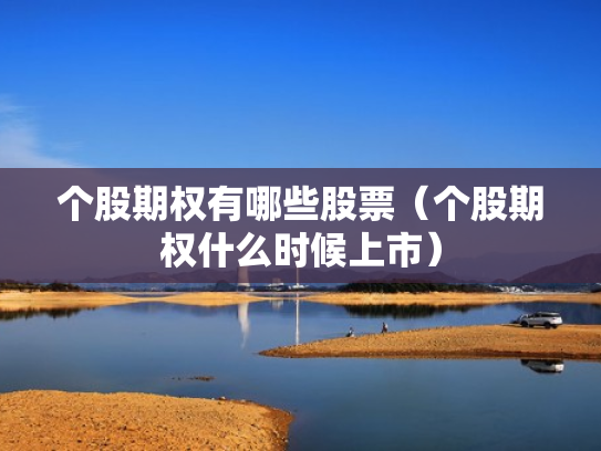 个股期权有哪些股票（个股期权什么时候上市）