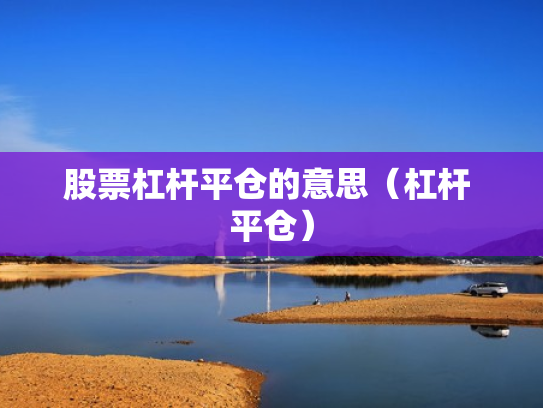 股票杠杆平仓的意思（杠杆 平仓）