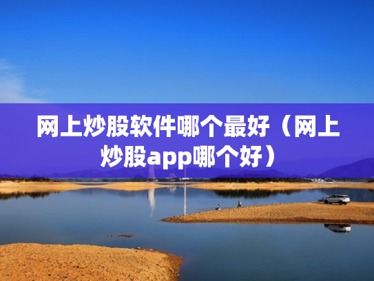 网上炒股软件哪个最好（网上炒股app哪个好）