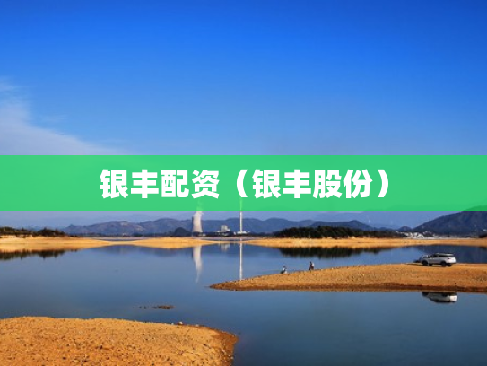 银丰配资（银丰股份）