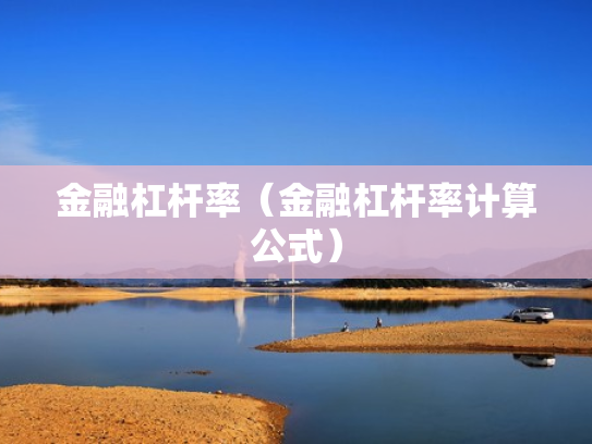 金融杠杆率（金融杠杆率计算公式）
