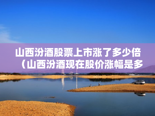 山西汾酒股票上市涨了多少倍（山西汾酒现在股价涨幅是多少）