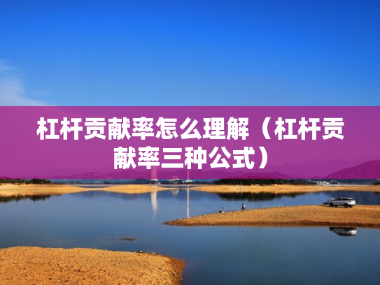 杠杆贡献率怎么理解（杠杆贡献率三种公式）